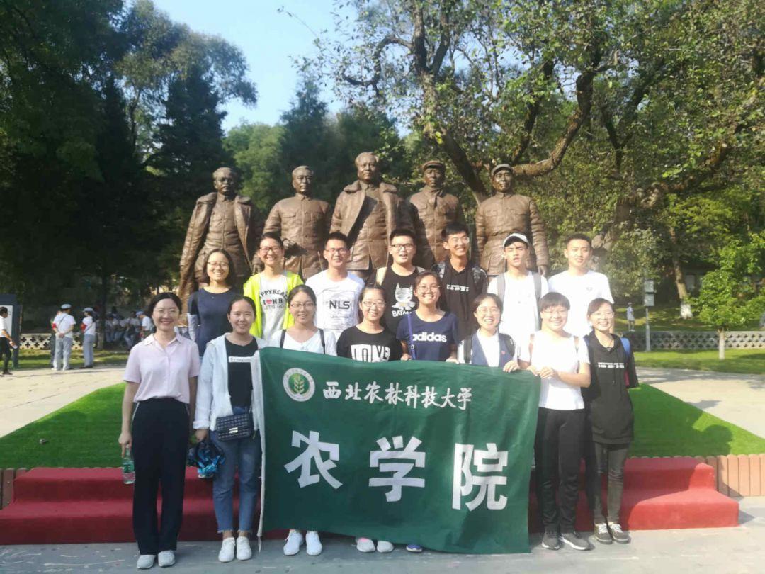 小乌龟逃亡记